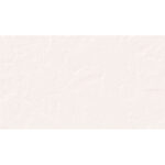 Euroceramica - Basáltico Blanco - 31x60